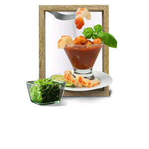 Plant Based Proliferation