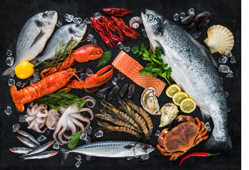 Custom Culinary - The Reel Opportunity To Innovate