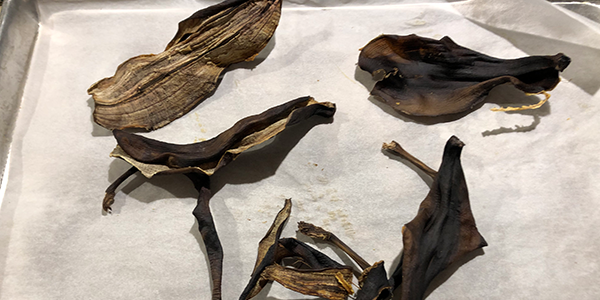 dried banana peels