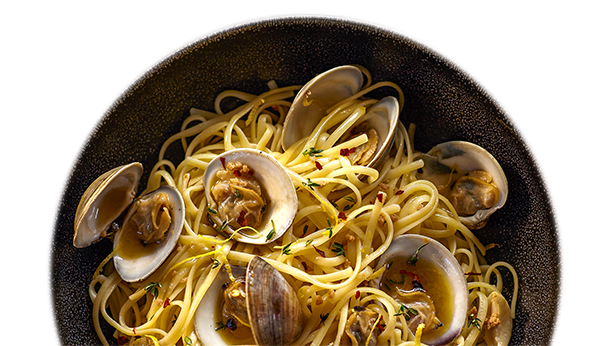 Clams and Linguine in a white sauce